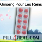 Ginseng For Kidney 18